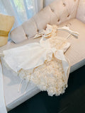 Pretty Ball Gown Straps Lace Flowers Homecoming Dresses Birthday Outfits With Bow HZ1024