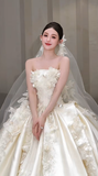 Dreamy Ball Gown Strapless Satin Applique With Veil Long Wedding Dresses HZ1024