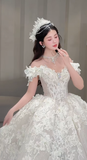Pretty Ball Gown Off The Shoulder Tulle Lace Long Wedding Dresses HZ1024