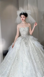 Timeless Ball Gown Strapless Tulle Sequin With Veil Long Wedding Dresses HZ1024