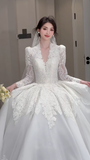 Timeless Ball Gown V Neck Tulle Lace Long Sleeves With Train Long Wedding Dresses HZ1024