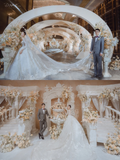 Pretty Ball Gown Tulle Applique Long Sleeves With Veil Long Wedding Dresses HZ1024
