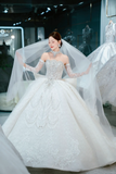 Timeless Ball Gown Strapless Tulle Sequin Beaded With Sleeves Veil Long Wedding Dresses HZ1024