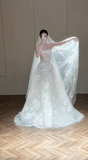 Dreamy Ball Gown Strapless Tulle Lace With Veil Long Wedding Dresses HZ1024