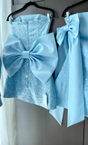 Sparkly A Line Strapless Satin Sequin Backless With Bow Short Homecoming Dress 19th Birthday Outfits HZ1024