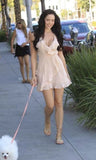 Elegant A Line Spaghetti Straps Chiffon Ruffles Mini Short Homecoming Dress 18th Birthday Outfits HZ1024