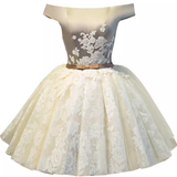 Elegant Ball Gown Off The Shoulder Birthday Outfits Tulle Homecoming Dresses HZ1024